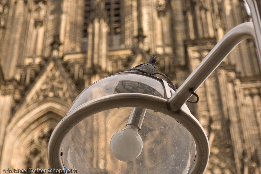 Dom 2008-65.JPG